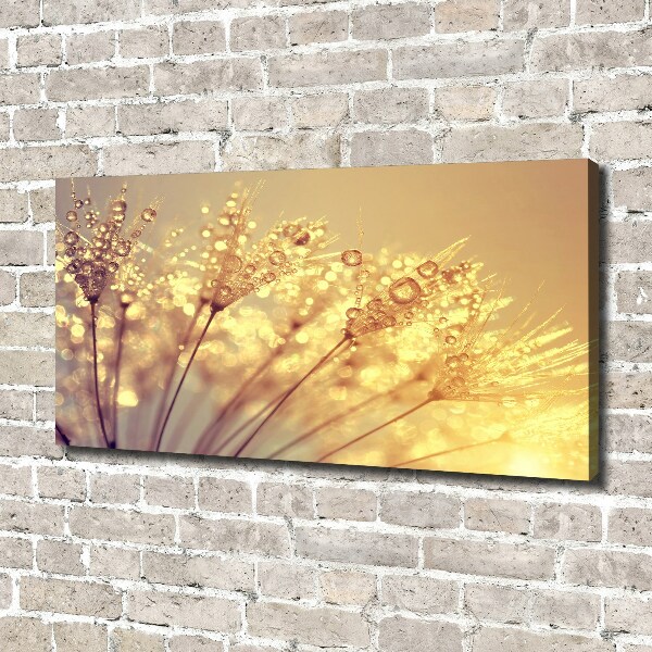 Wandbild Löwenzahnsamen