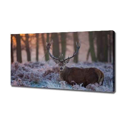 Bild auf leinwand Hirsche bei Sonnenaufgang
