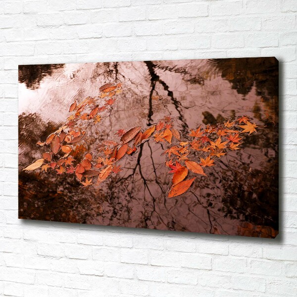 Bild auf leinwand Blätter auf dem Wasser