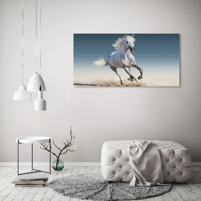 Wandbild Ein weißes Pferd im Galopp