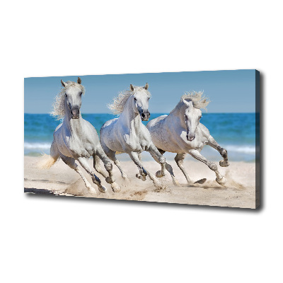 Bild auf leinwand Strand von White Horses