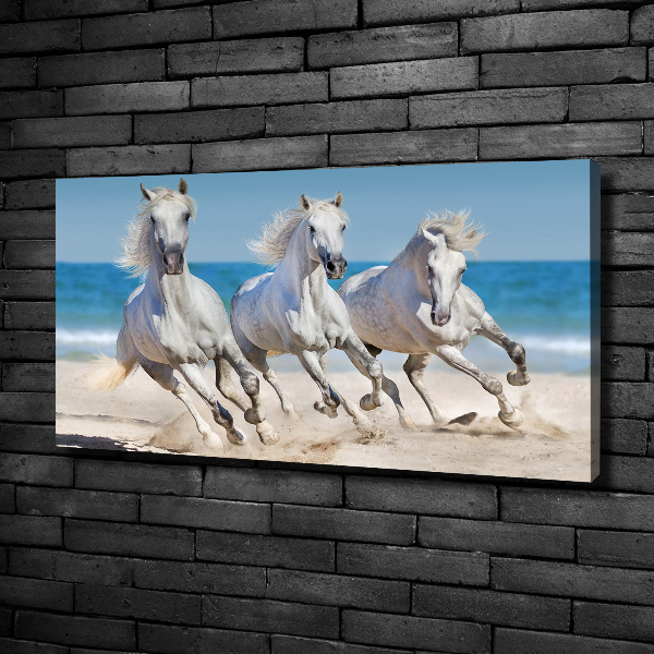 Bild auf leinwand Strand von White Horses