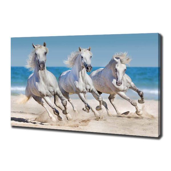 Bild auf leinwand Strand von White Horses