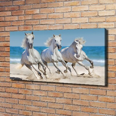 Bild auf leinwand Strand von White Horses