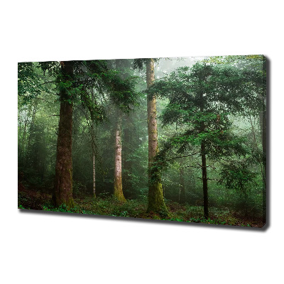 Bild auf leinwand Nebel im Wald