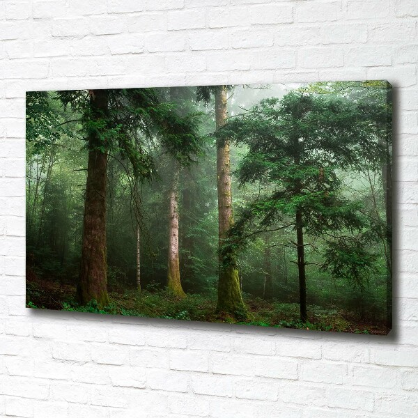 Bild auf leinwand Nebel im Wald
