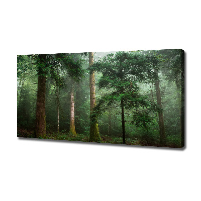Bild auf leinwand Nebel im Wald
