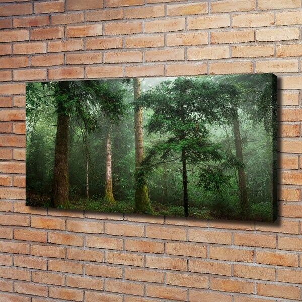Bild auf leinwand Nebel im Wald
