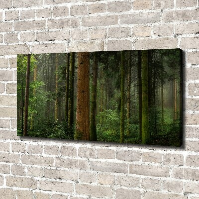 Wandbild Nebel im Wald