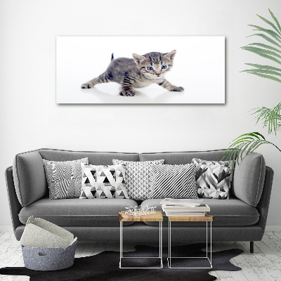 Wandbild Kleine Katze