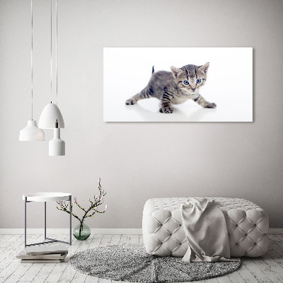 Wandbild Kleine Katze