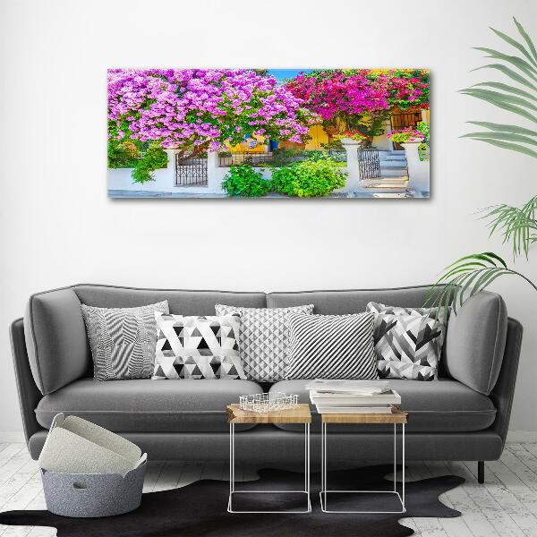 Bild auf leinwand Haus mit Bougainvillea
