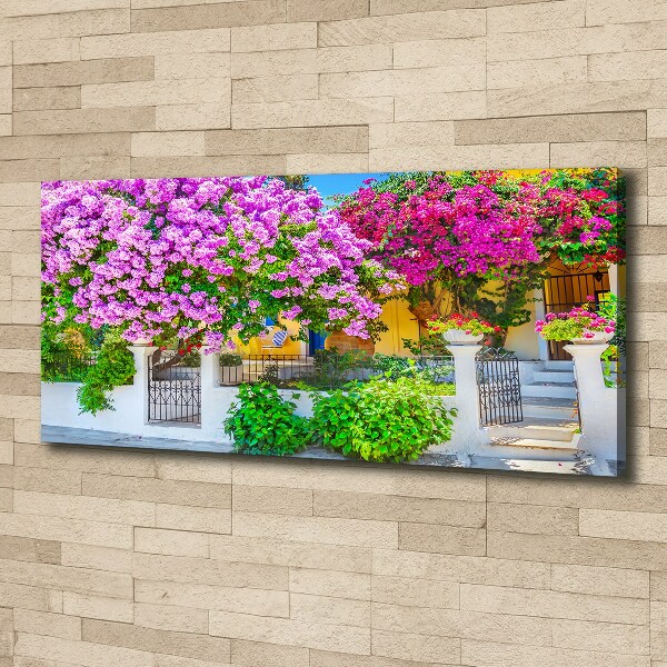 Bild auf leinwand Haus mit Bougainvillea