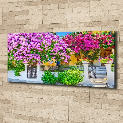 Bild auf leinwand Haus mit Bougainvillea