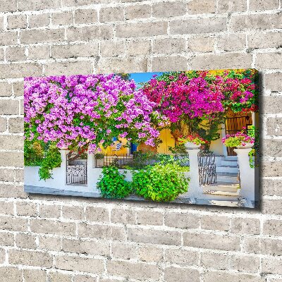 Bild auf leinwand Haus mit Bougainvillea