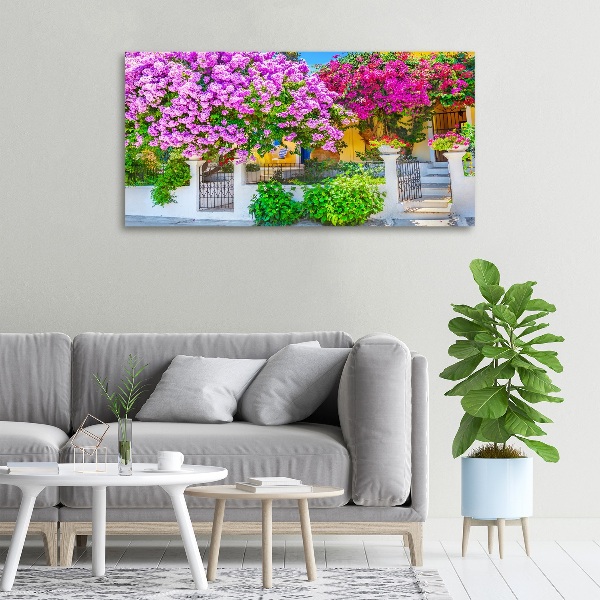 Bild auf leinwand Haus mit Bougainvillea