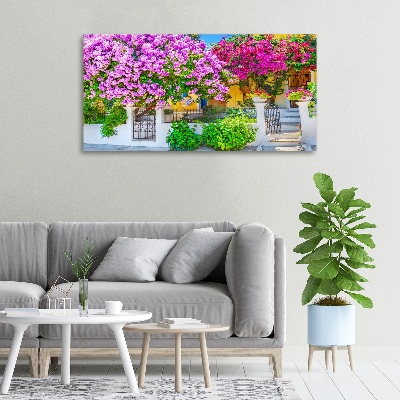 Bild auf leinwand Haus mit Bougainvillea