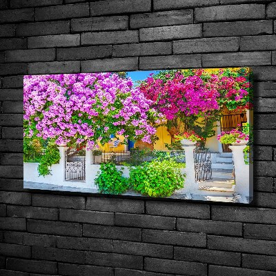 Bild auf leinwand Haus mit Bougainvillea