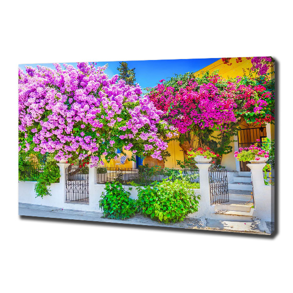 Bild auf leinwand Haus mit Bougainvillea