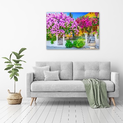 Bild auf leinwand Haus mit Bougainvillea
