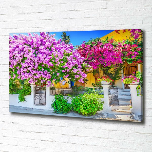 Bild auf leinwand Haus mit Bougainvillea