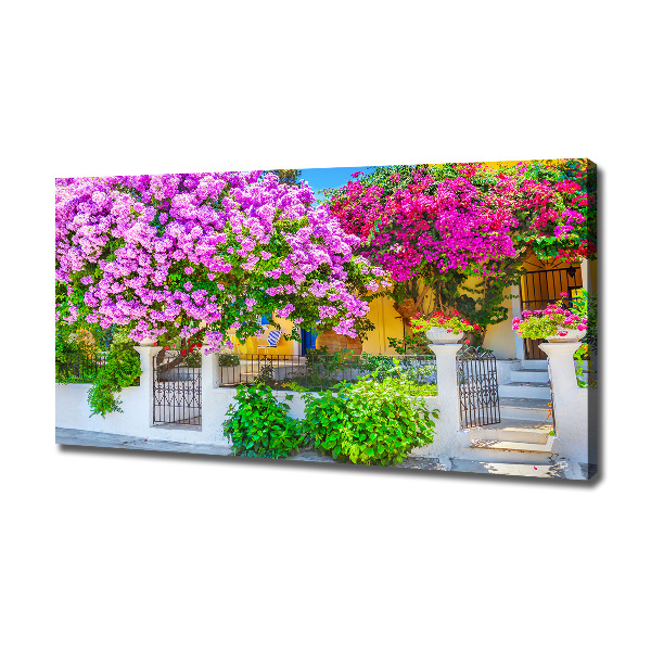 Bild auf leinwand Haus mit Bougainvillea