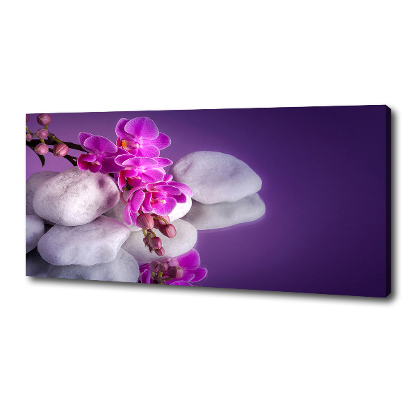 Wandbild Orchidee