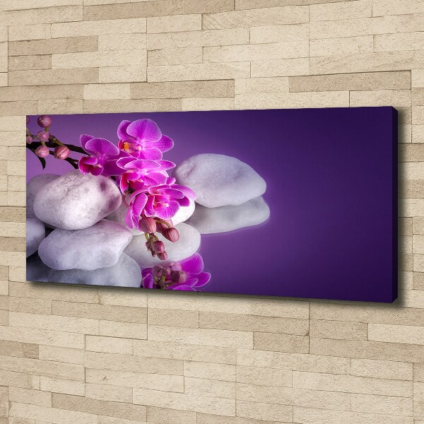 Wandbild Orchidee