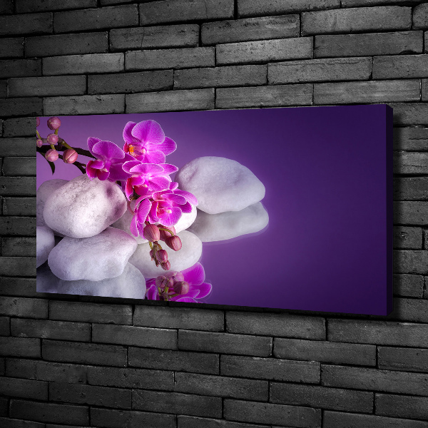 Wandbild Orchidee