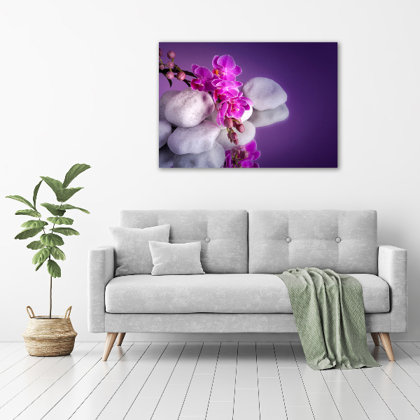 Wandbild Orchidee