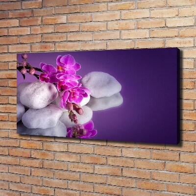 Wandbild Orchidee