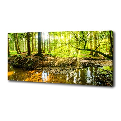 Wandbild Ein Teich im Wald