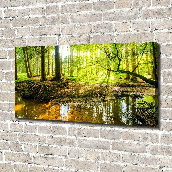 Wandbild Ein Teich im Wald