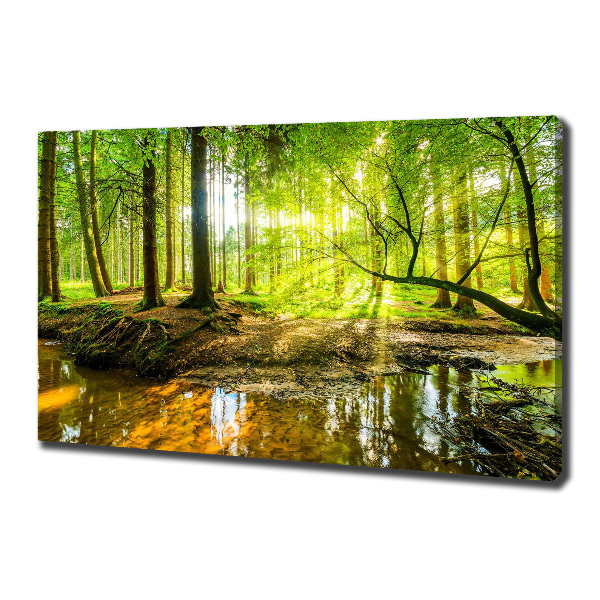 Wandbild Ein Teich im Wald