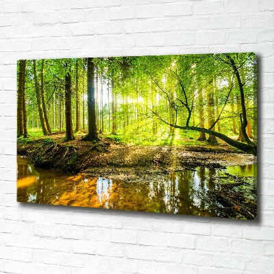 Wandbild Ein Teich im Wald