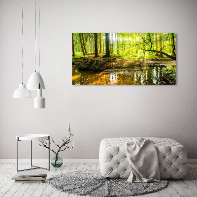 Wandbild Ein Teich im Wald
