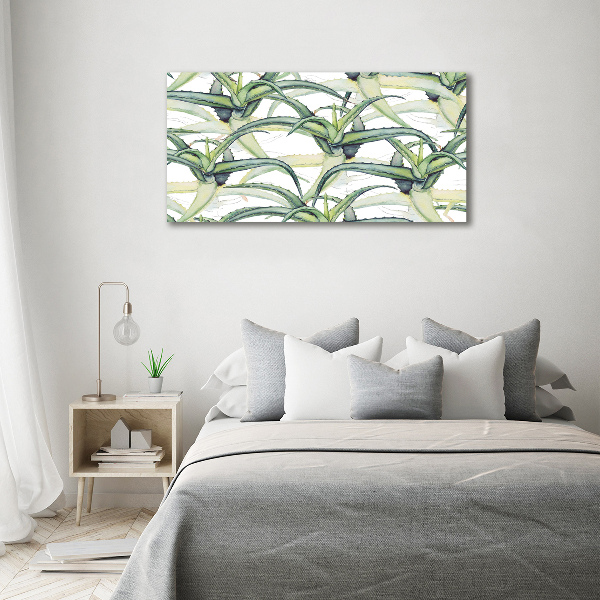 Bild auf leinwand Aloe
