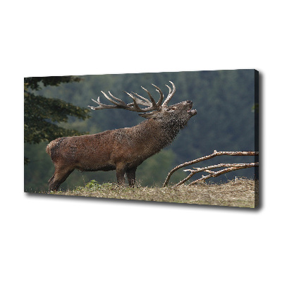 Fotobild Hirsche auf dem Hügel