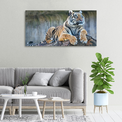 Wandbild Tiger