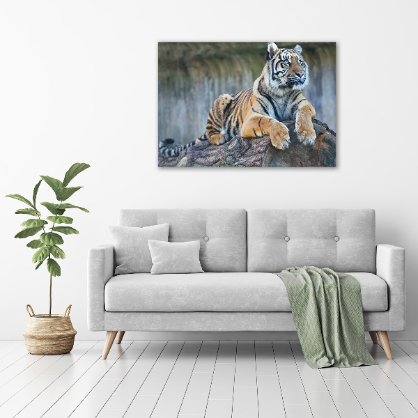 Wandbild Tiger