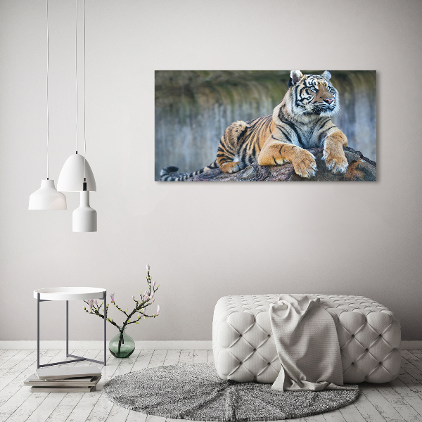 Wandbild Tiger