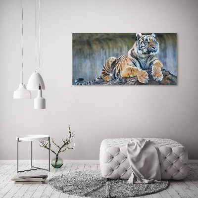 Wandbild Tiger