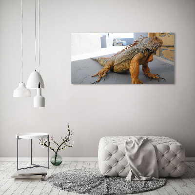 Bild auf leinwand Leguan