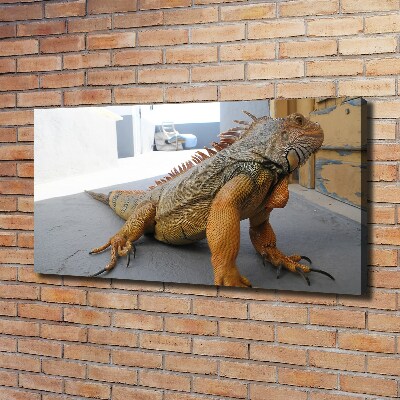 Bild auf leinwand Leguan