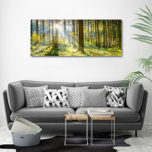 Bild auf leinwand Wald in der Sonne