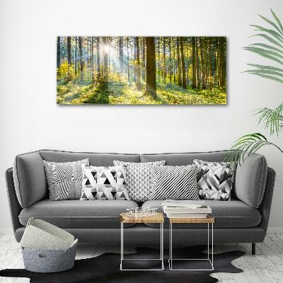 Bild auf leinwand Wald in der Sonne