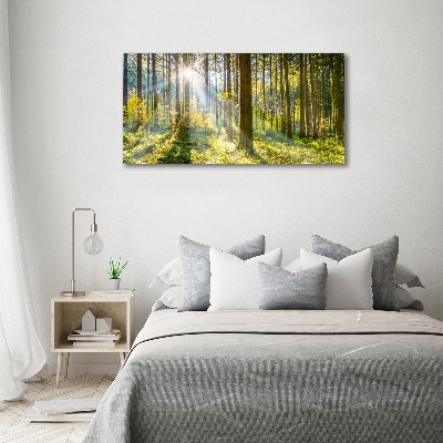 Bild auf leinwand Wald in der Sonne