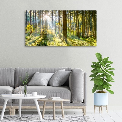Bild auf leinwand Wald in der Sonne