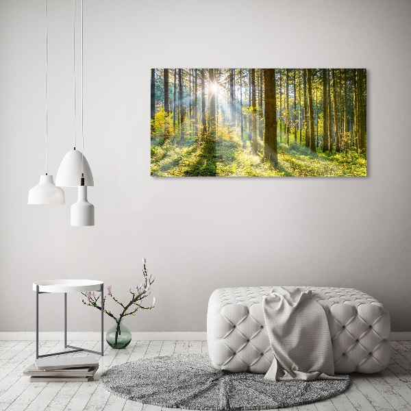 Bild auf leinwand Wald in der Sonne