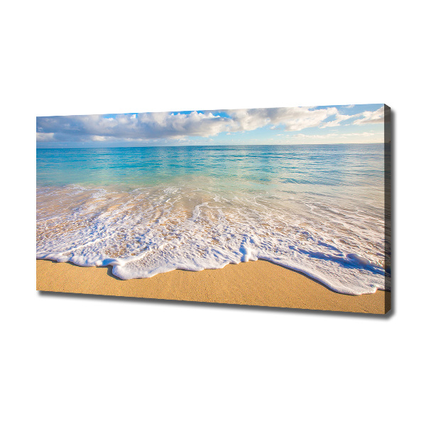 Wandbild Hawaiianischer Strand